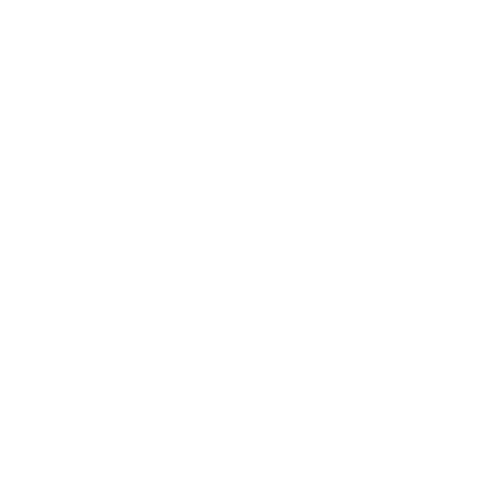 Logo White